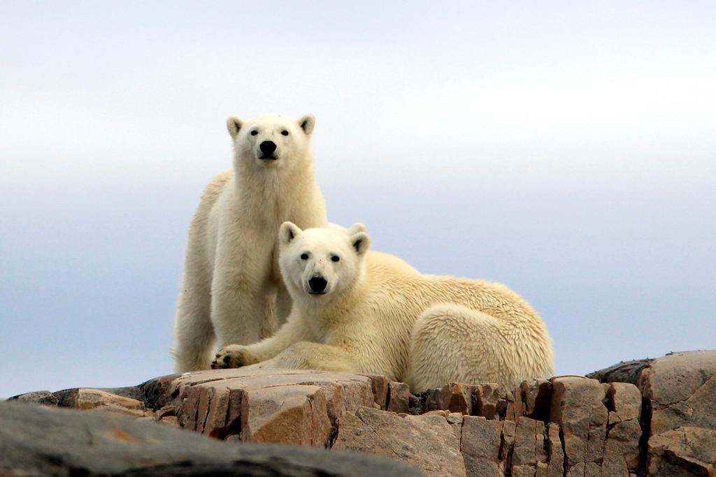 Radisson Blu Polar Hotel, Spitsbergen Longyearbyen Zewnętrze zdjęcie